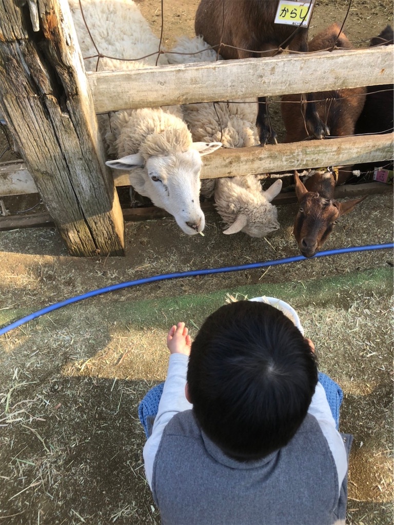 f:id:nigoriyu:20210212075745j:image