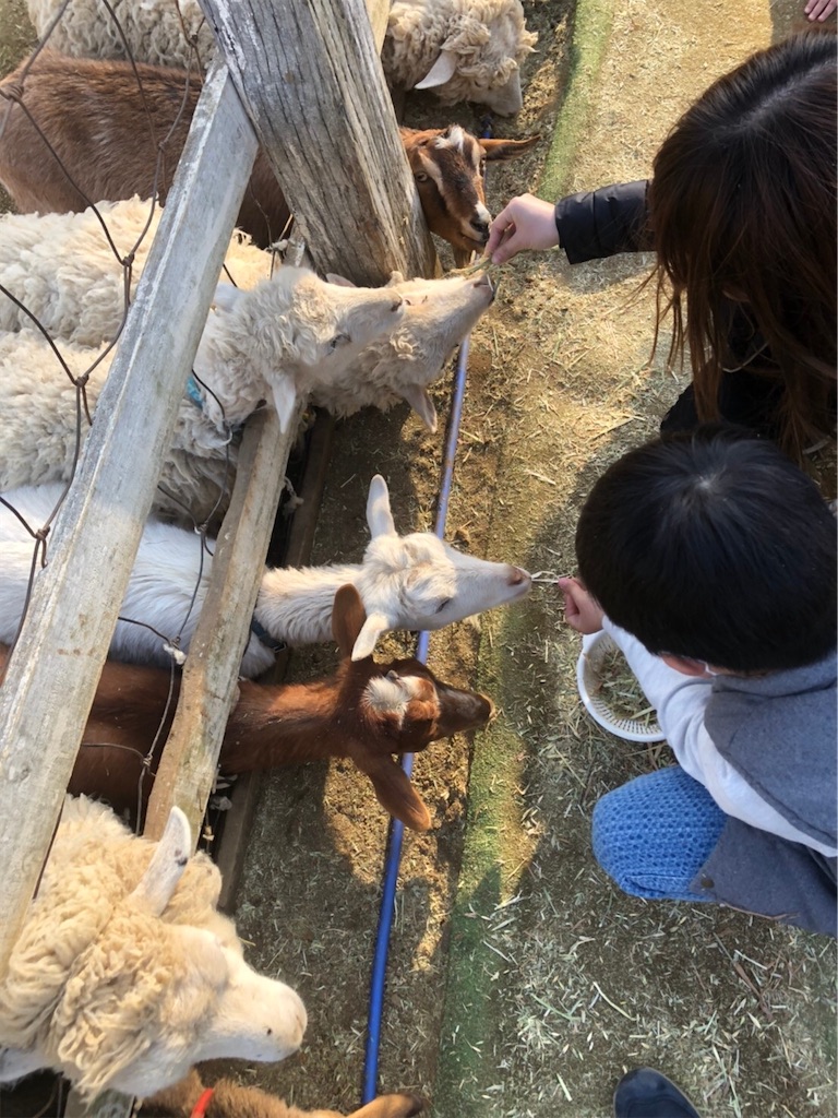 f:id:nigoriyu:20210212075748j:image