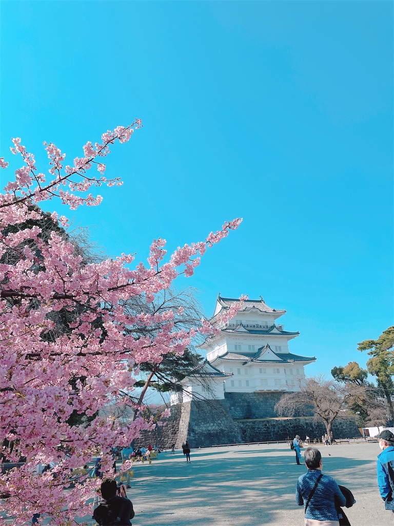 f:id:nigoriyu:20210223015407j:image