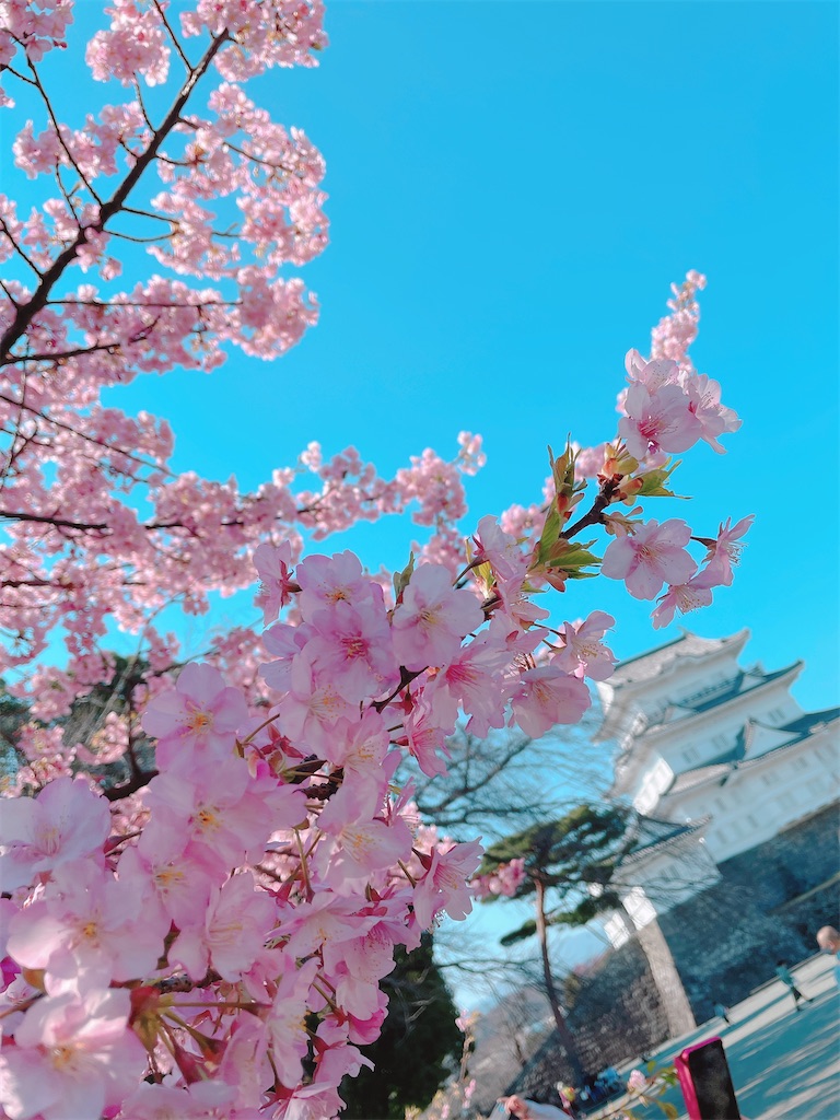 f:id:nigoriyu:20210223015411j:image