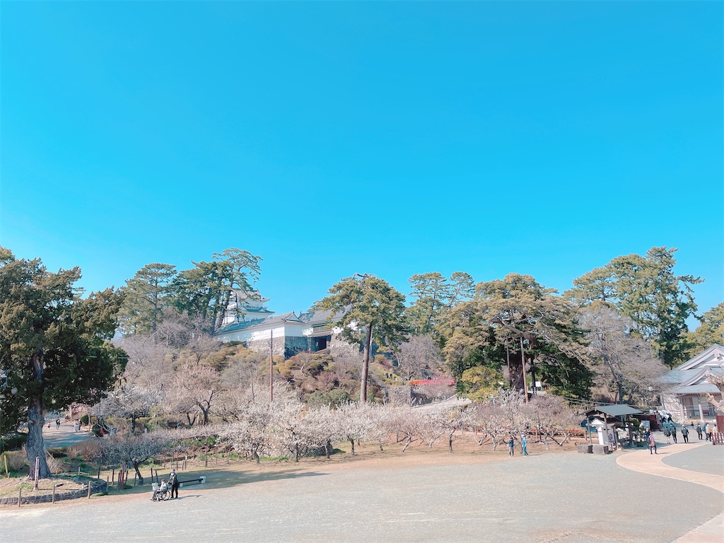 f:id:nigoriyu:20210223015418j:image