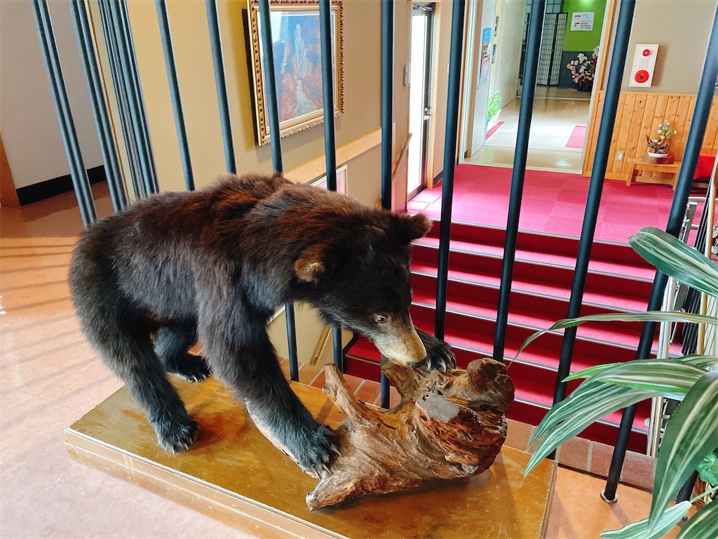 f:id:nigoriyu:20210320200129j:image f:id:nigoriyu:20210320200129j:image