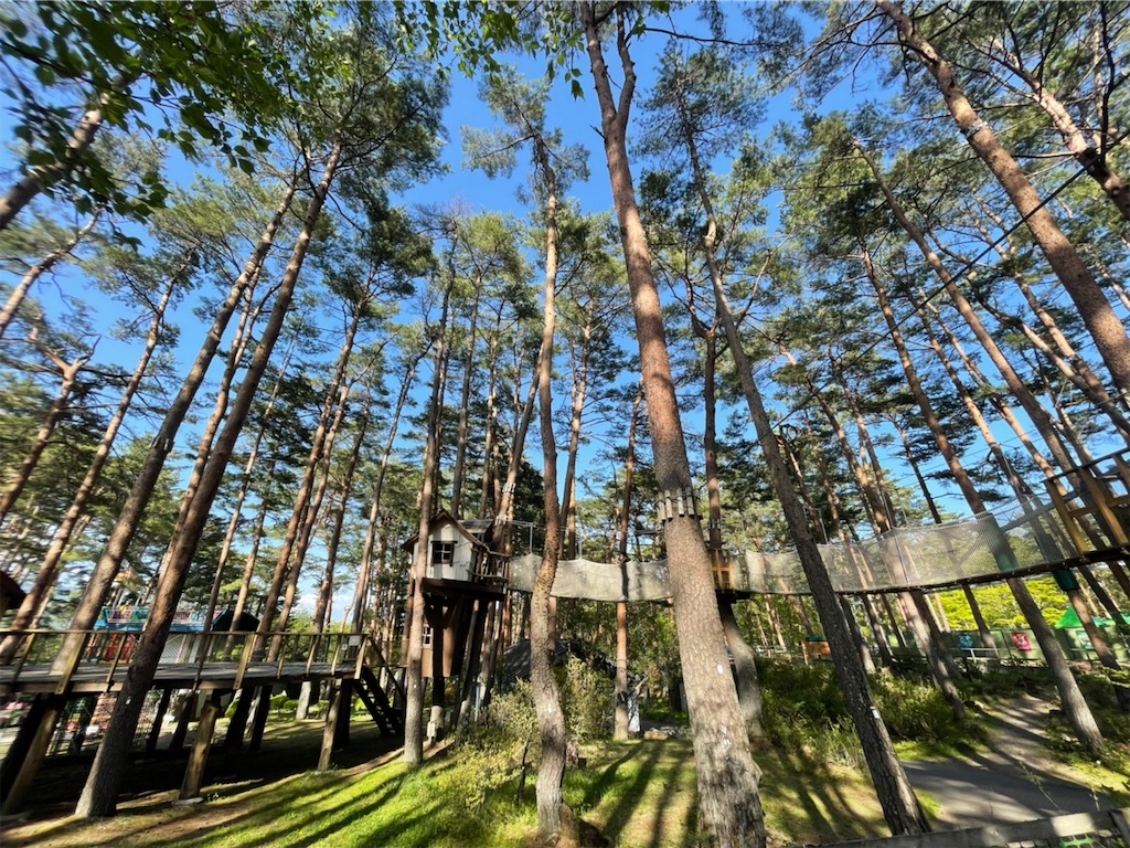 f:id:nigoriyu:20210511010816j:image