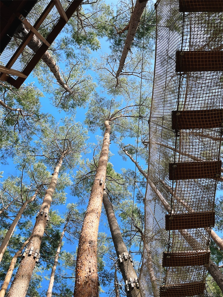 f:id:nigoriyu:20210511011943j:image