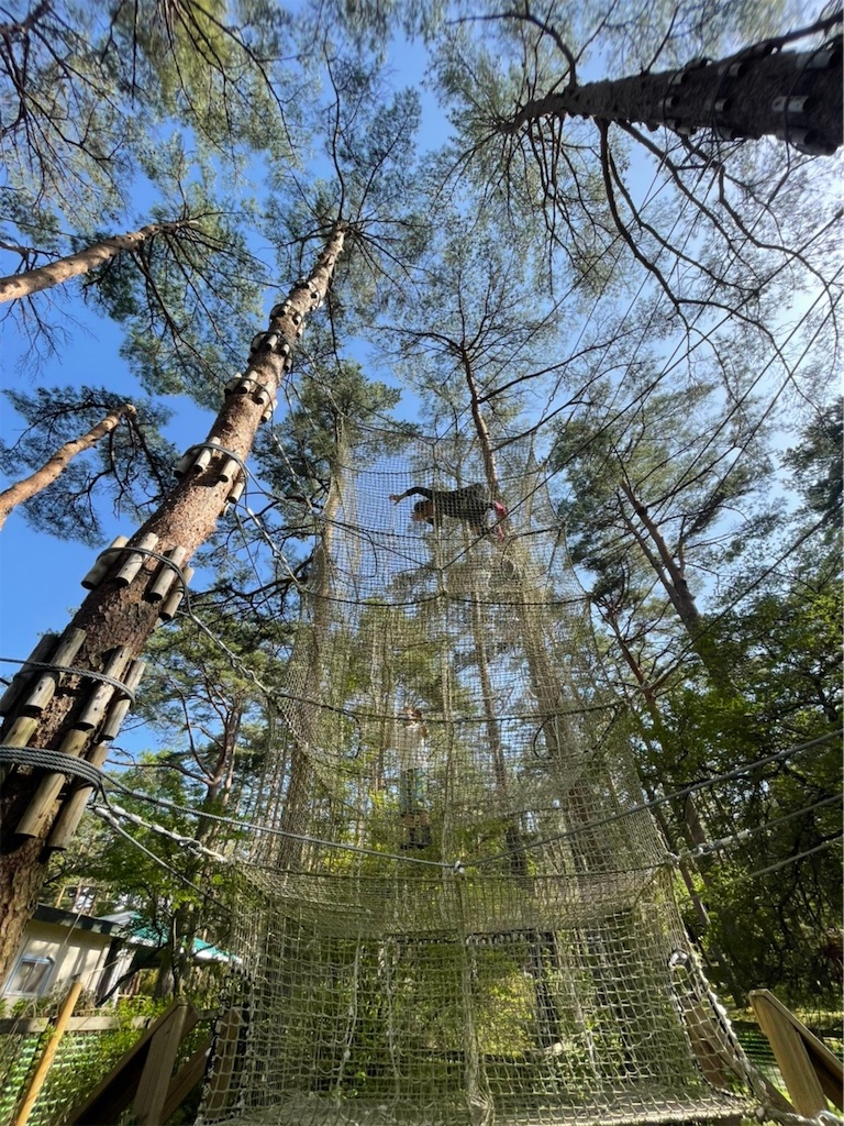 f:id:nigoriyu:20210511011947j:image