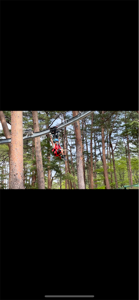 f:id:nigoriyu:20210512084823p:image