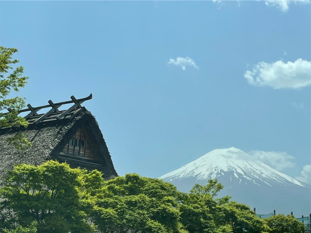 f:id:nigoriyu:20210512084957j:image