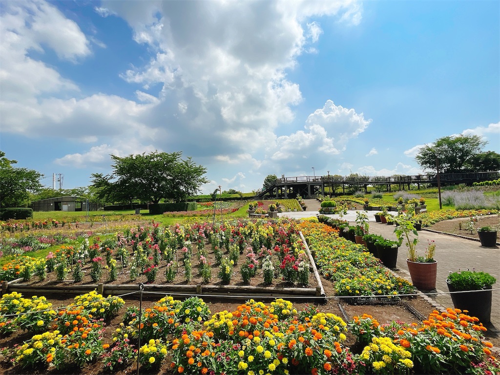 f:id:nigoriyu:20210801181032j:image