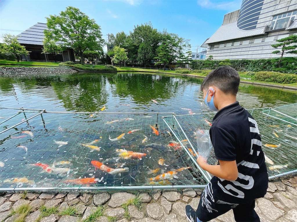 f:id:nigoriyu:20210801181105j:image