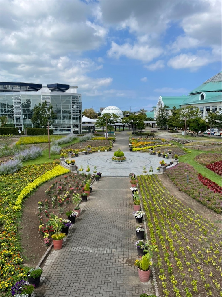 f:id:nigoriyu:20210801220845j:image