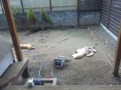 f:id:nihihiha:20111013122656j:image