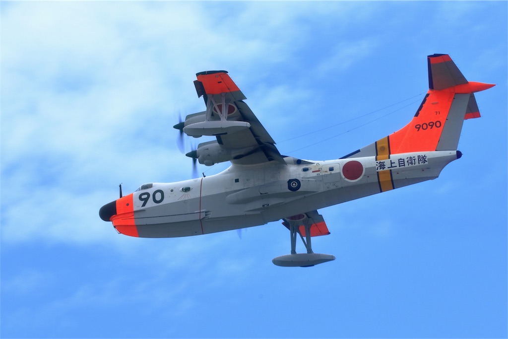f:id:nihon-kawauso:20170512233913j:image