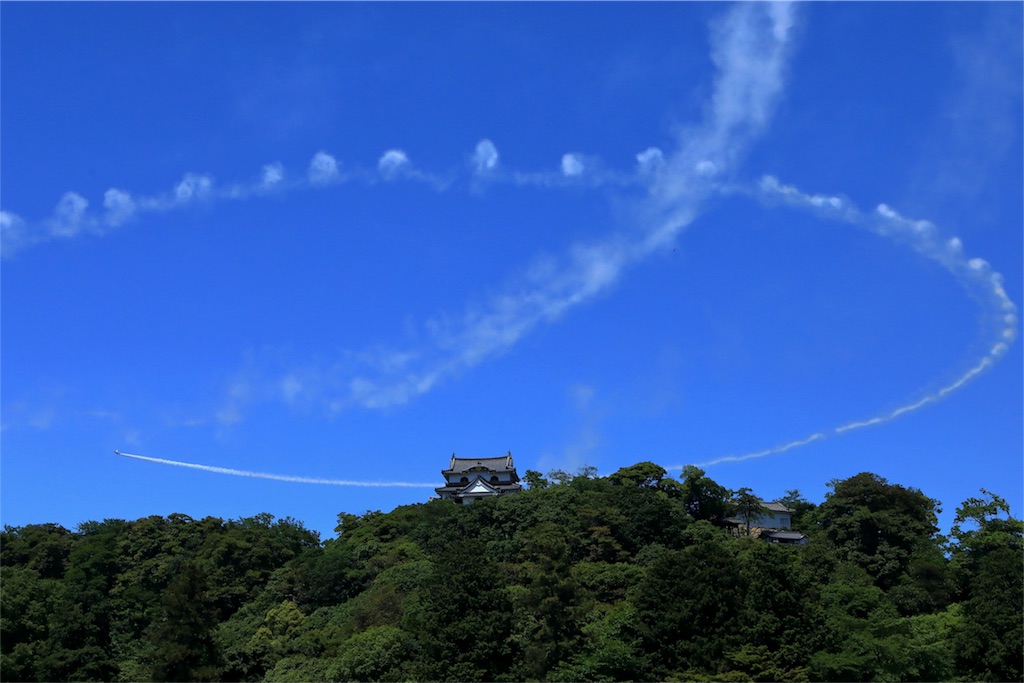 f:id:nihon-kawauso:20170609114026j:image