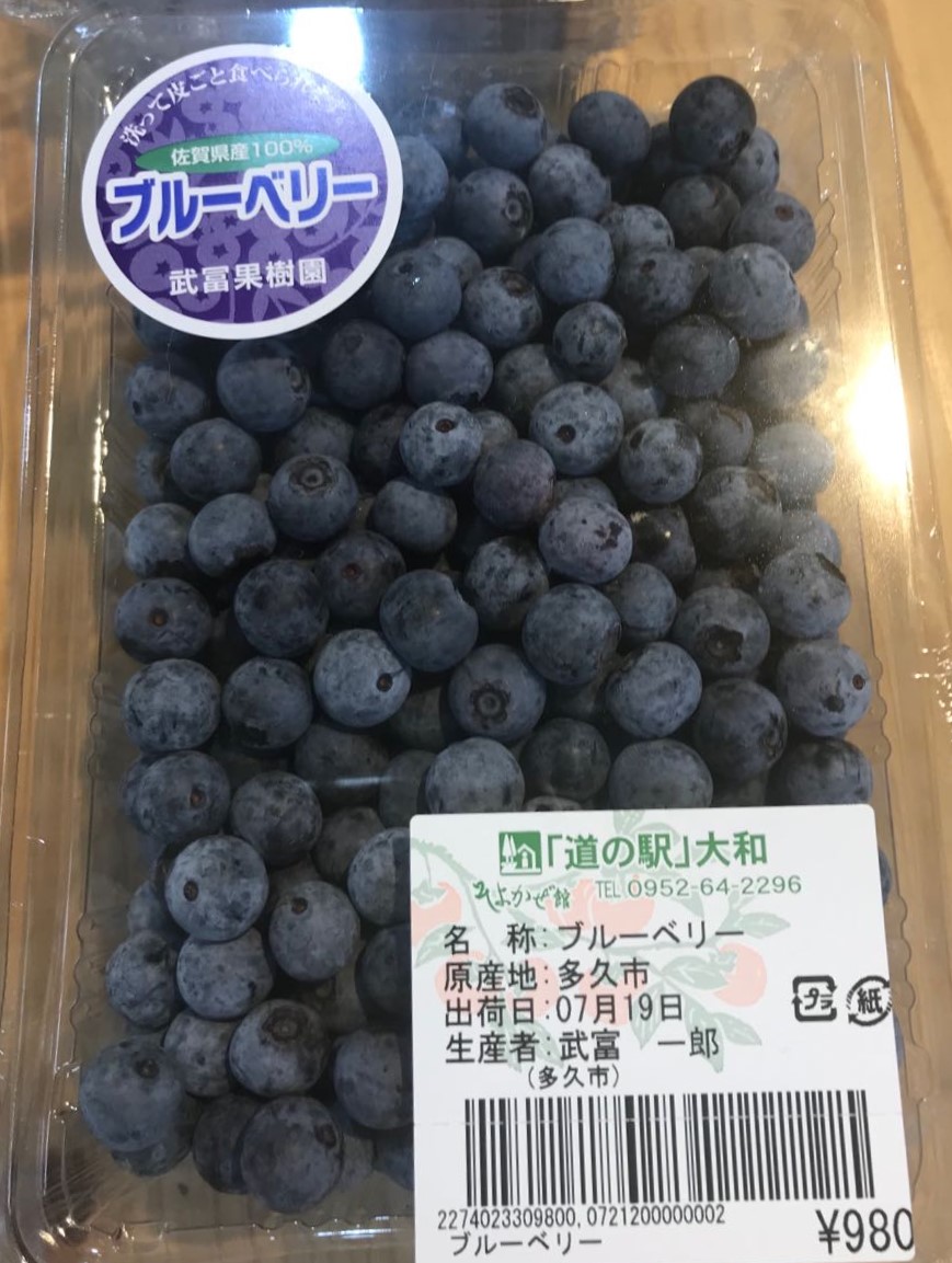 f:id:nihon-tabi:20200719190230j:plain f:id:nihon-tabi:20200719190230j:plain