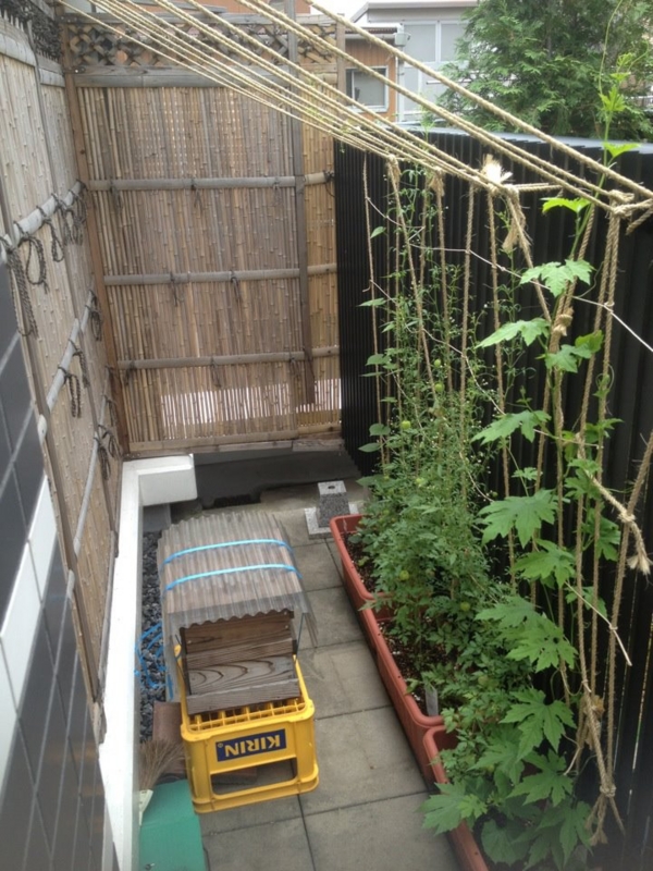 f:id:nihonbachi:20120723162043j:image