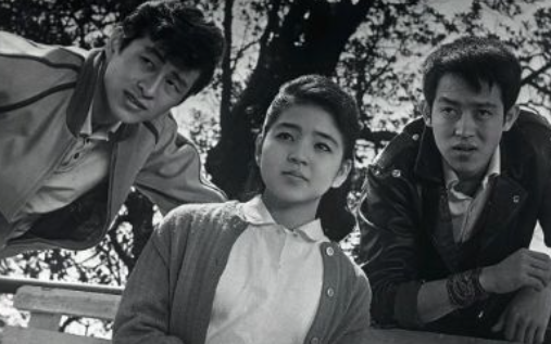 【中古】陽気な農民たち (1962年)