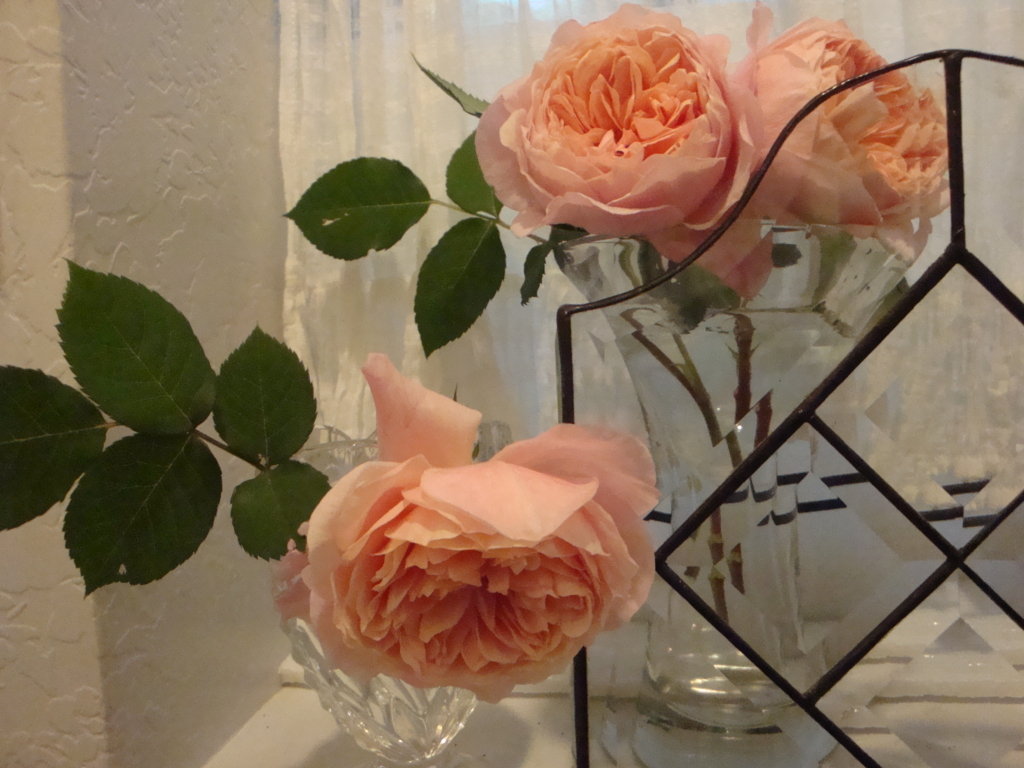 f:id:nihonga:20170104171402j:plain