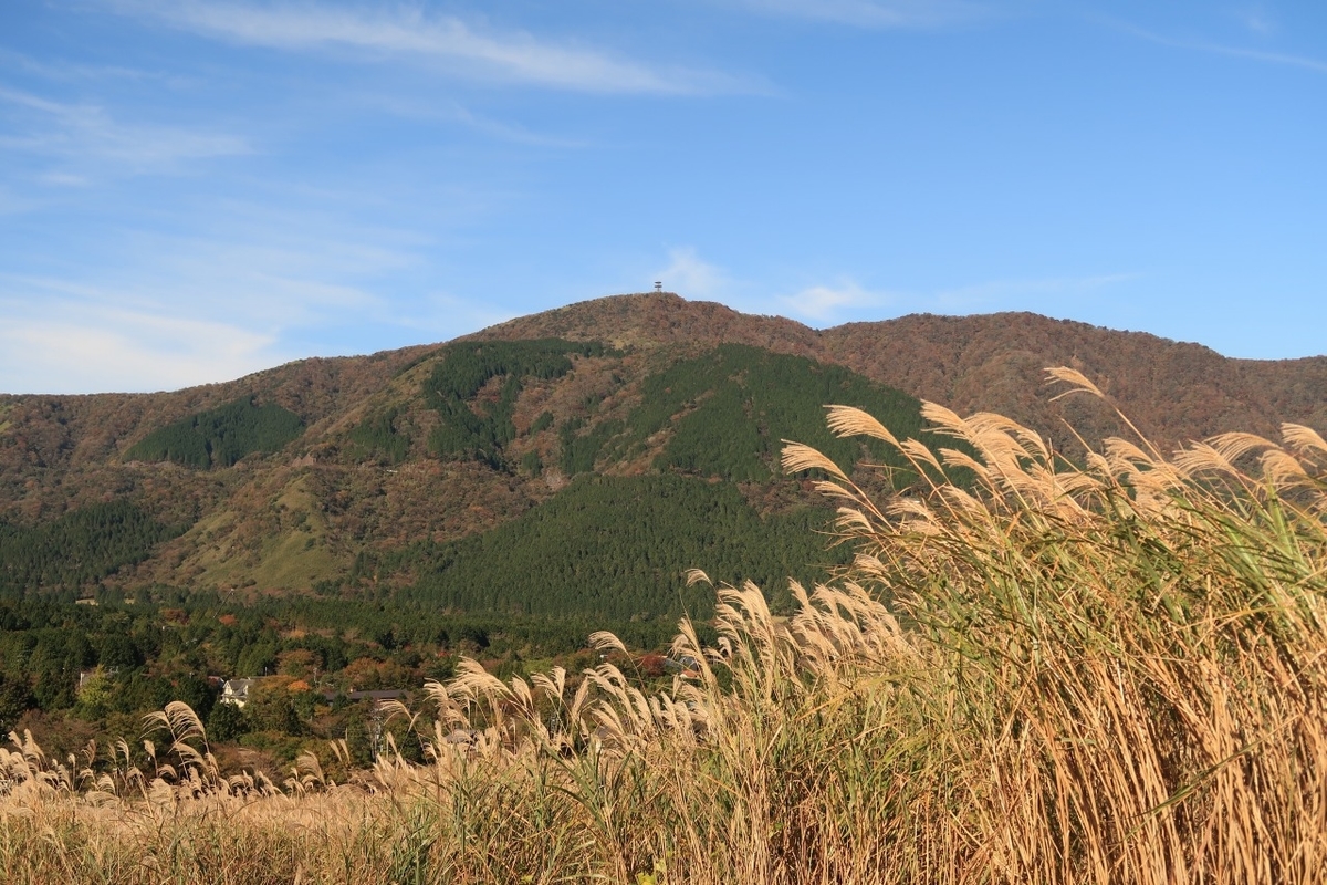 f:id:nihongopark:20211103235557j:plain