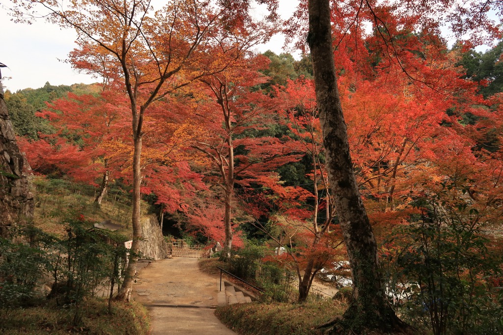 f:id:nihongopark:20211218232547j:plain
