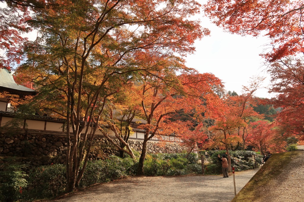 f:id:nihongopark:20211218232824j:plain