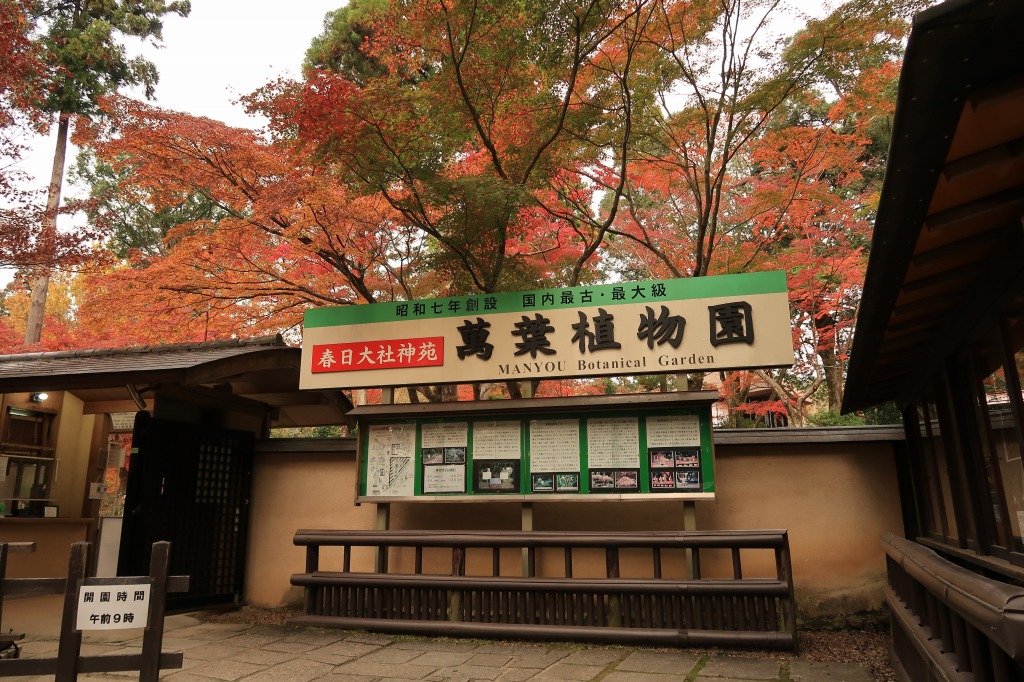 f:id:nihongopark:20211219145256j:plain
