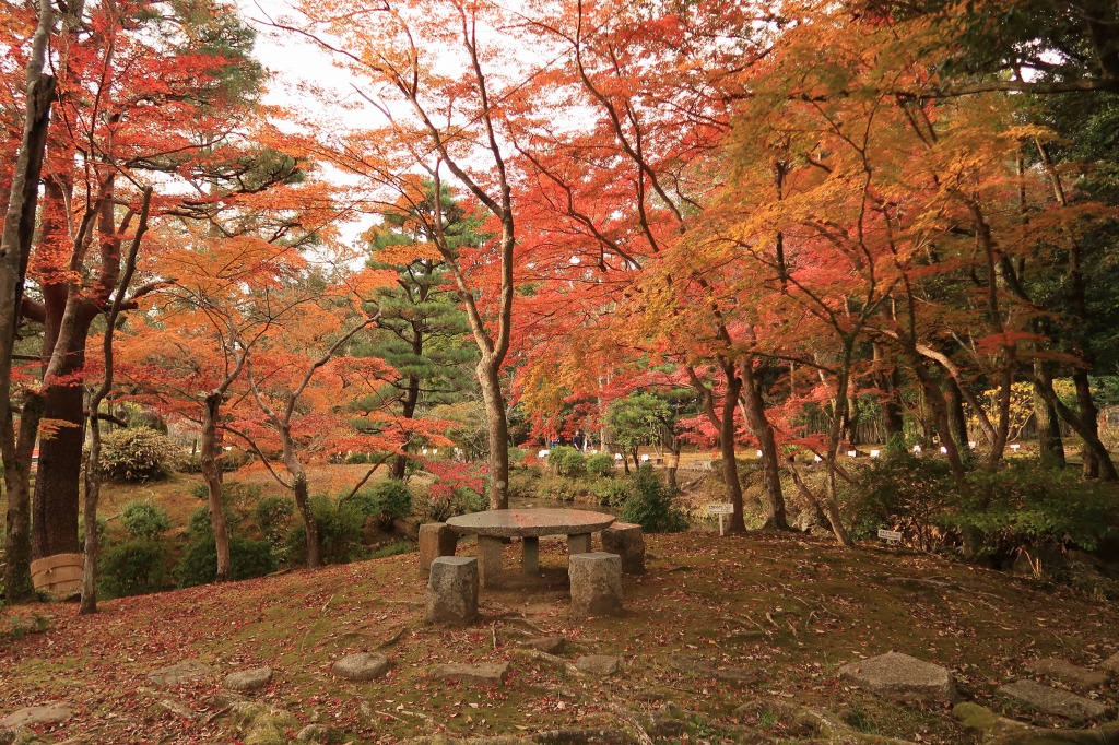 f:id:nihongopark:20211219151114j:plain