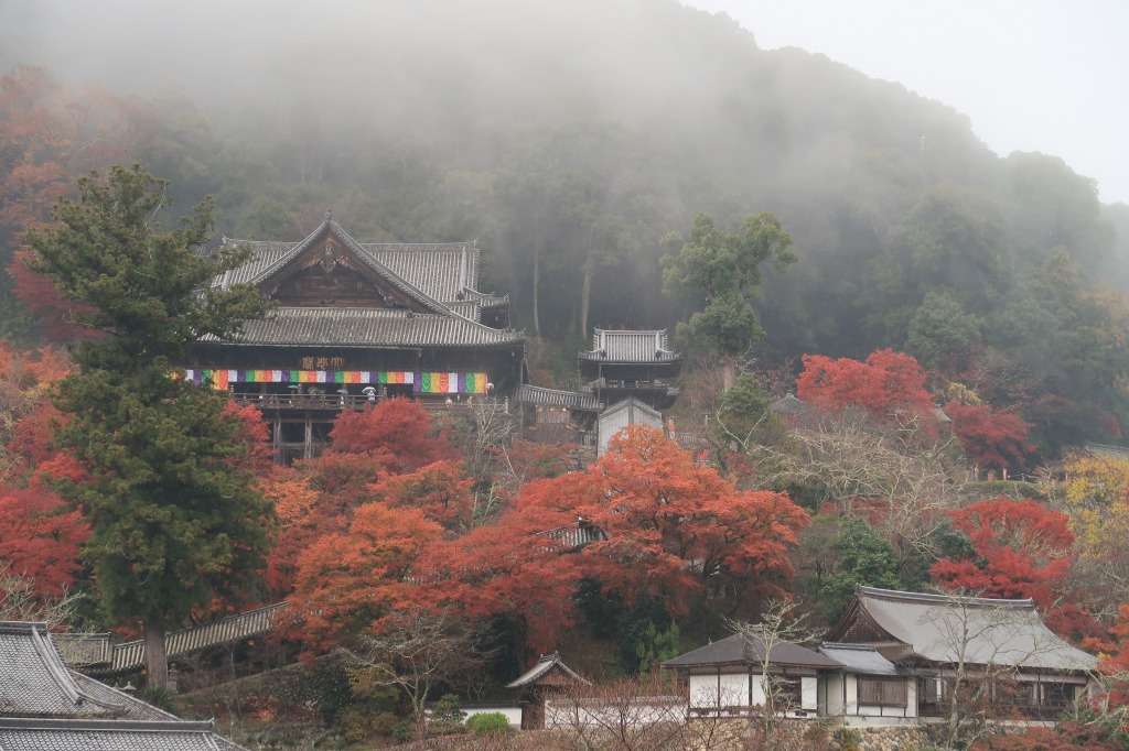 f:id:nihongopark:20211226153436j:plain