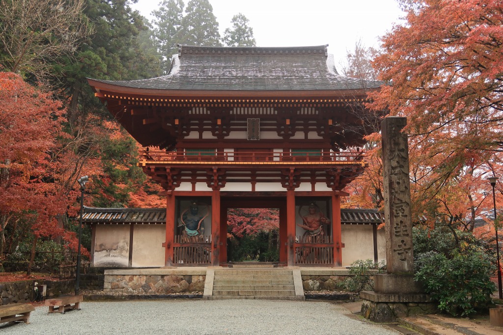 f:id:nihongopark:20211226164136j:plain