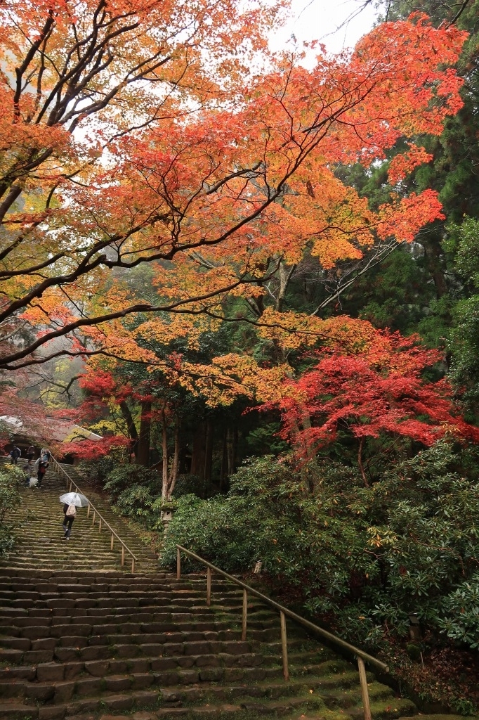 f:id:nihongopark:20211226164240j:plain