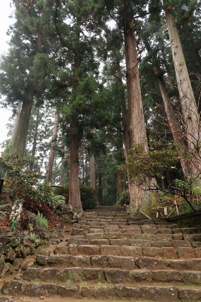 f:id:nihongopark:20211226164617j:plain