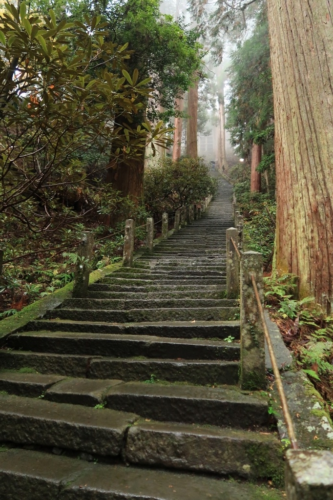 f:id:nihongopark:20211226164723j:plain