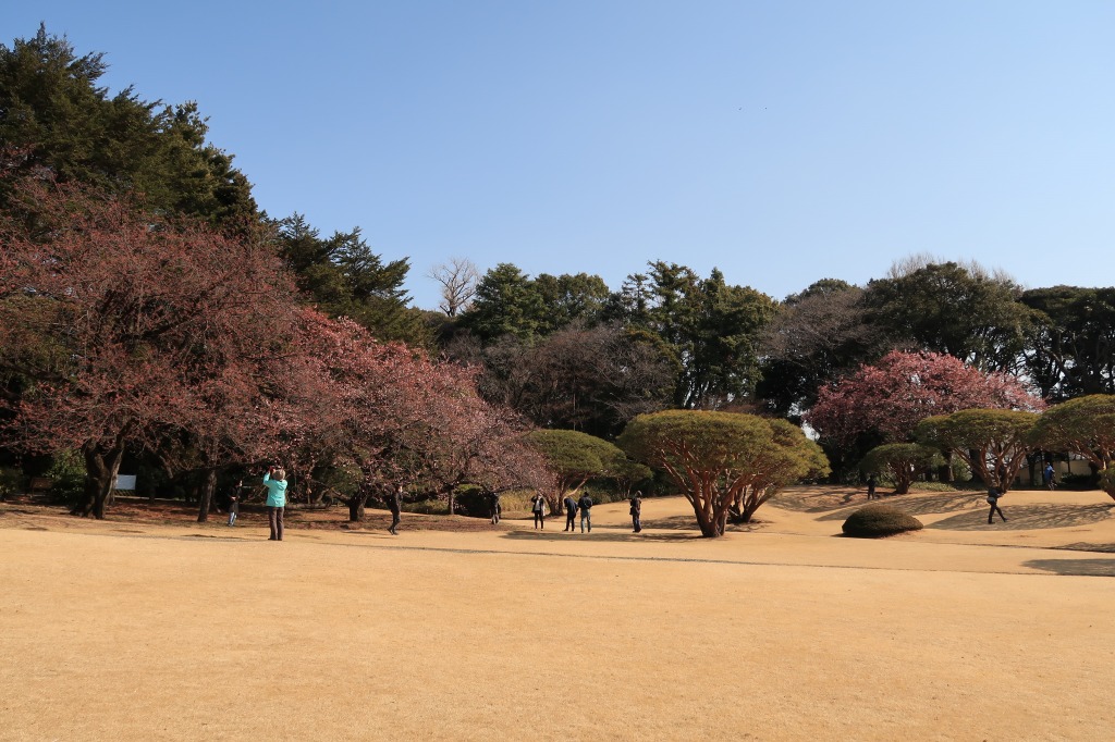 f:id:nihongopark:20220306134111j:plain