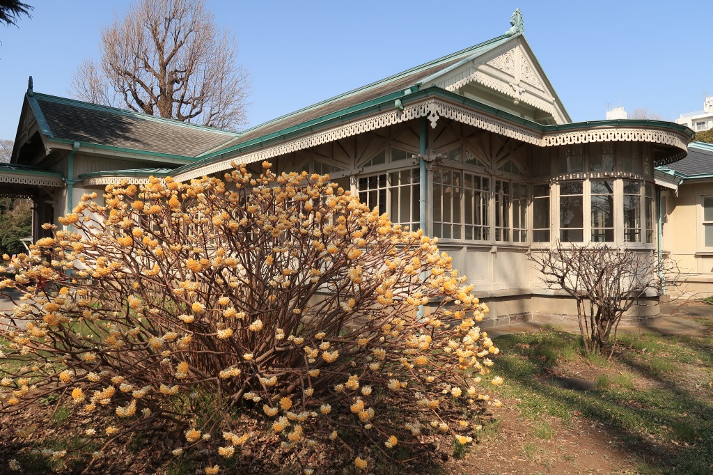 f:id:nihongopark:20220306135938j:plain
