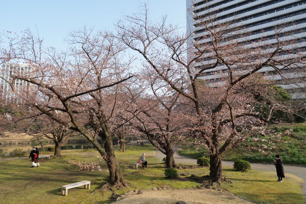 f:id:nihongopark:20220327170329j:plain