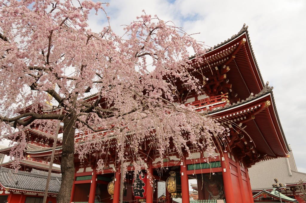 f:id:nihongopark:20220409202700j:plain
