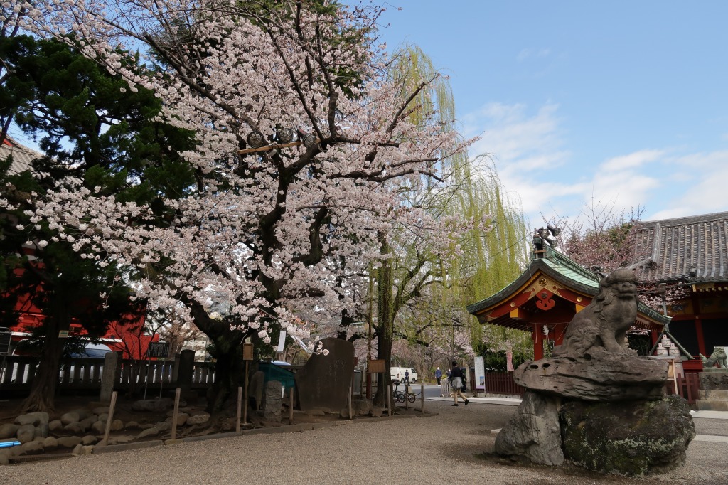 f:id:nihongopark:20220409202843j:plain
