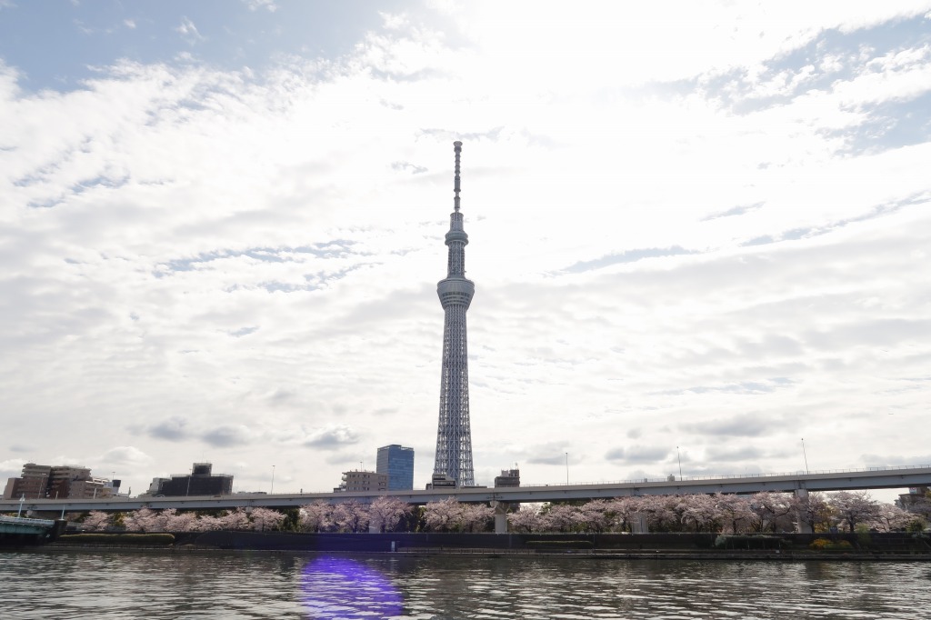 f:id:nihongopark:20220409204219j:plain