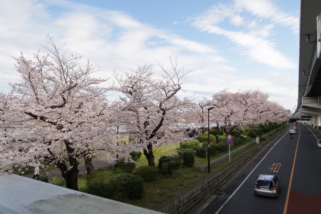 f:id:nihongopark:20220409204932j:plain