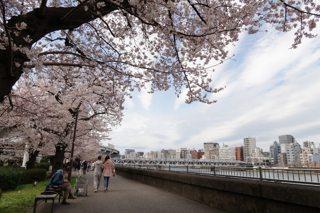 f:id:nihongopark:20220409205138j:plain