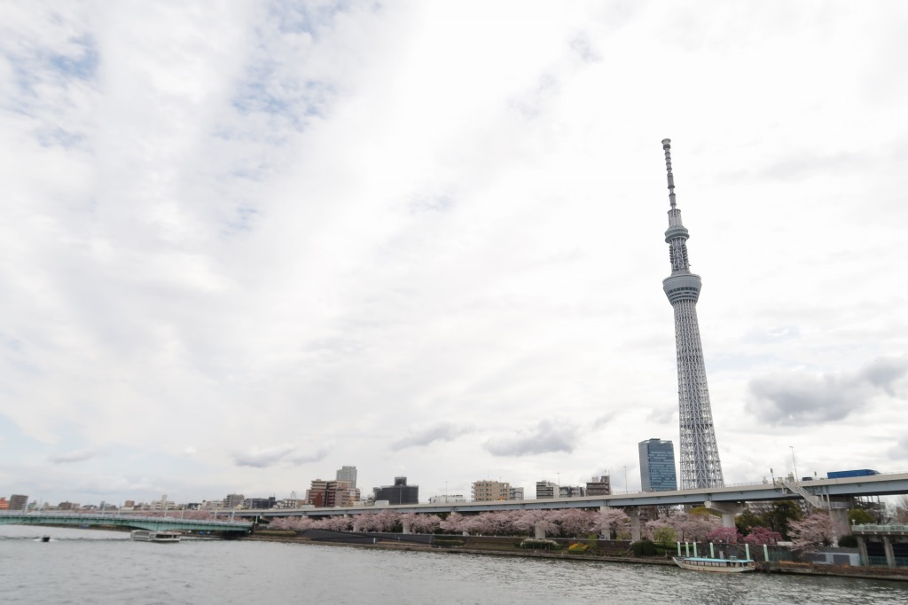 f:id:nihongopark:20220409205433j:plain
