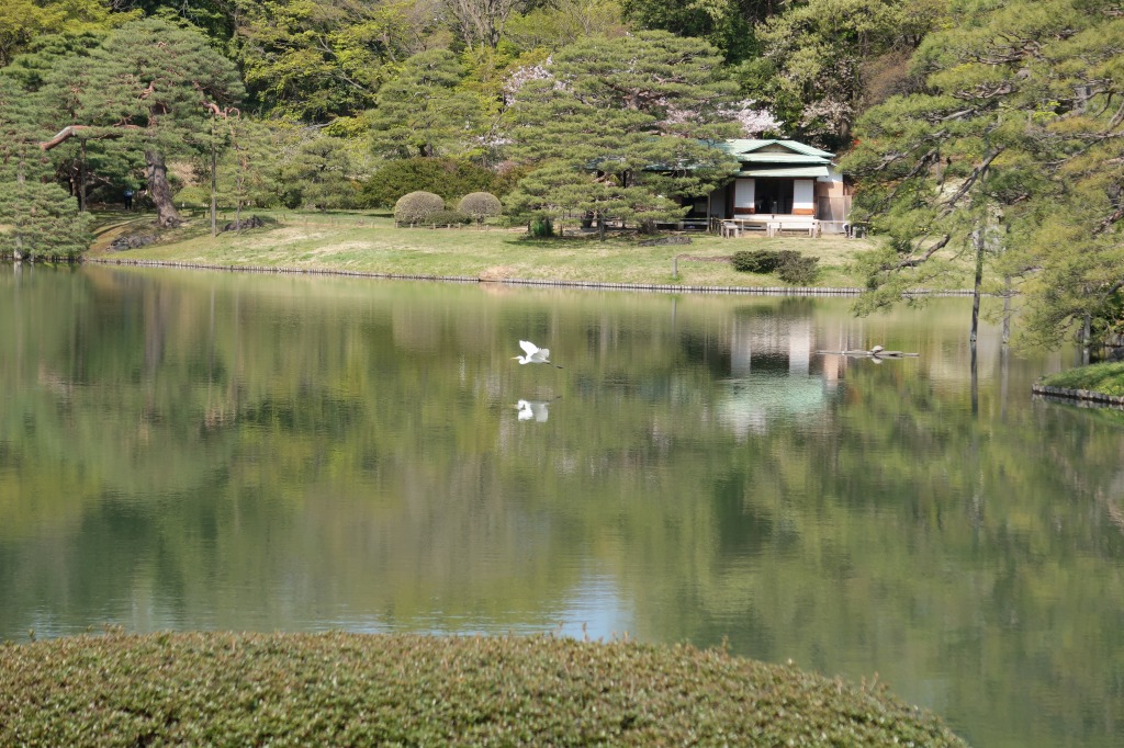 f:id:nihongopark:20220416103659j:plain