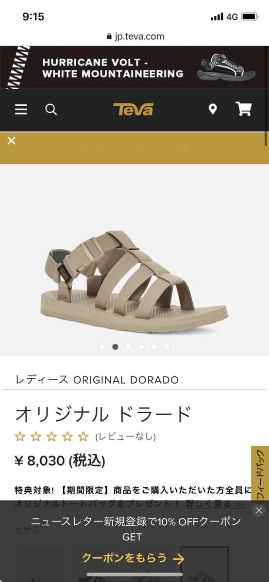 f:id:nihonhaken:20210628091537p:plain