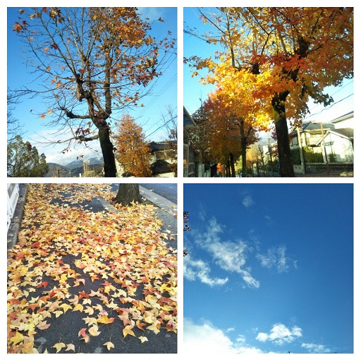 f:id:nihonmitsubachi:20181212205318j:plain