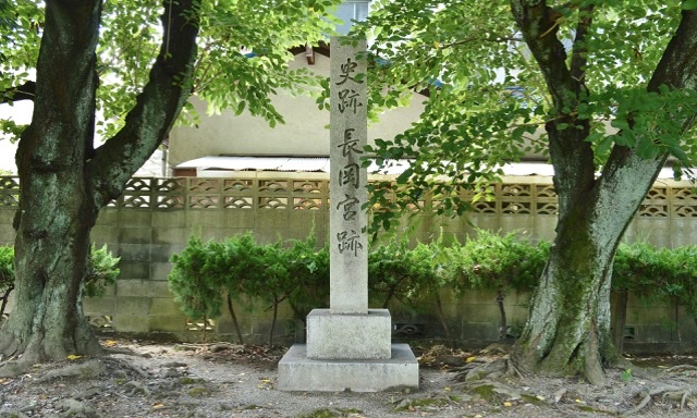 f:id:nihonshi0:20201025180507j:plain f:id:nihonshi0:20201025180507j:plain
