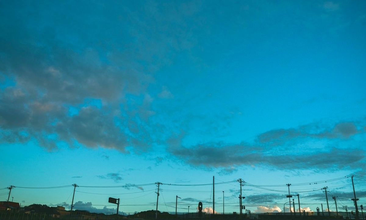 f:id:nihonshi0:20210202115649j:plain