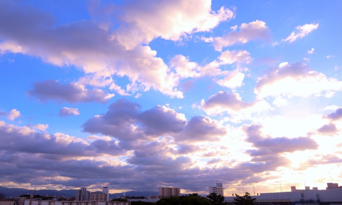 f:id:nihonshi0:20210207232721j:plain