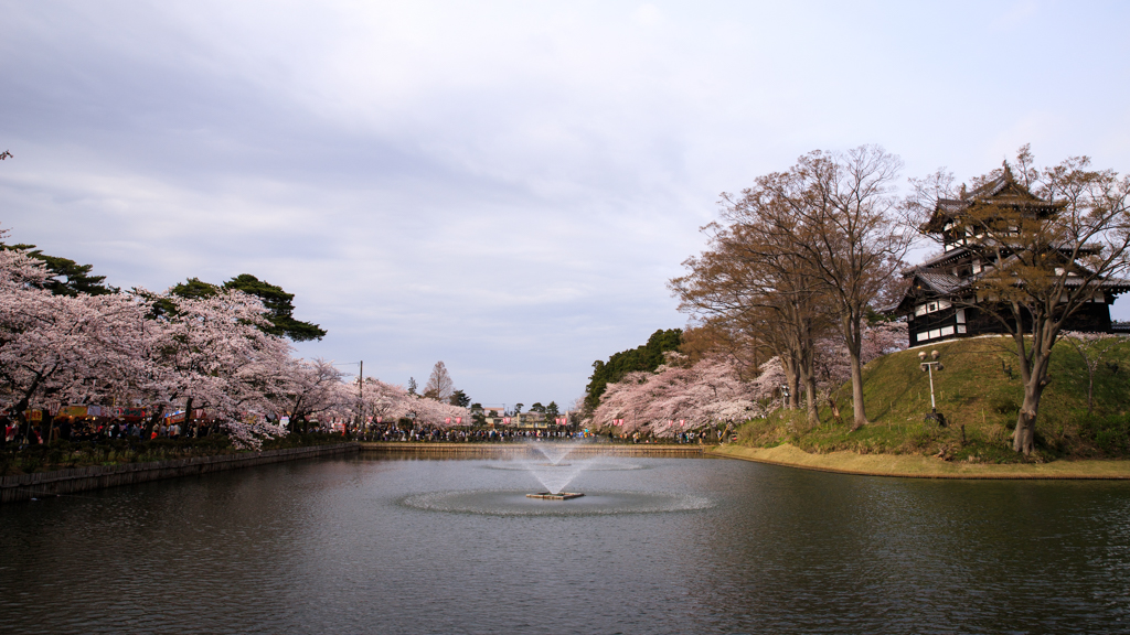 高田城址公園　桜