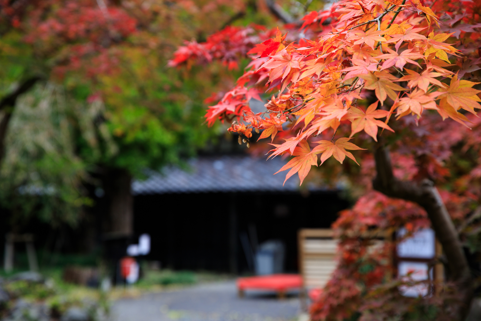 中野邸記念館　紅葉