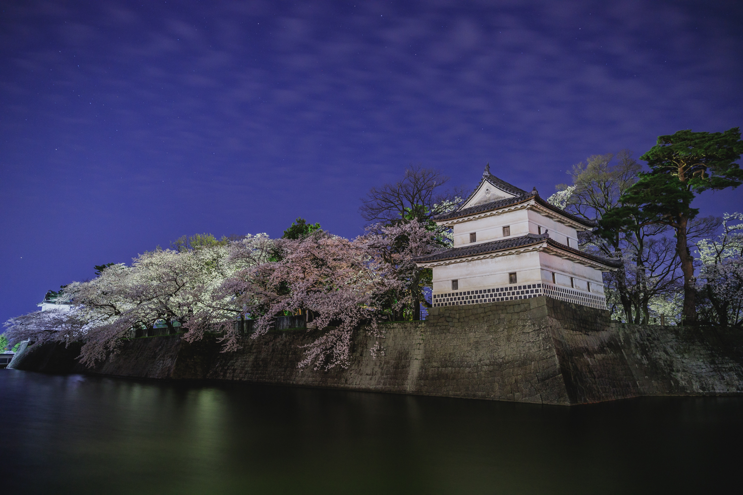 新発田城址公園で夜桜を撮影してきたお話 新潟を撮って回って記録する