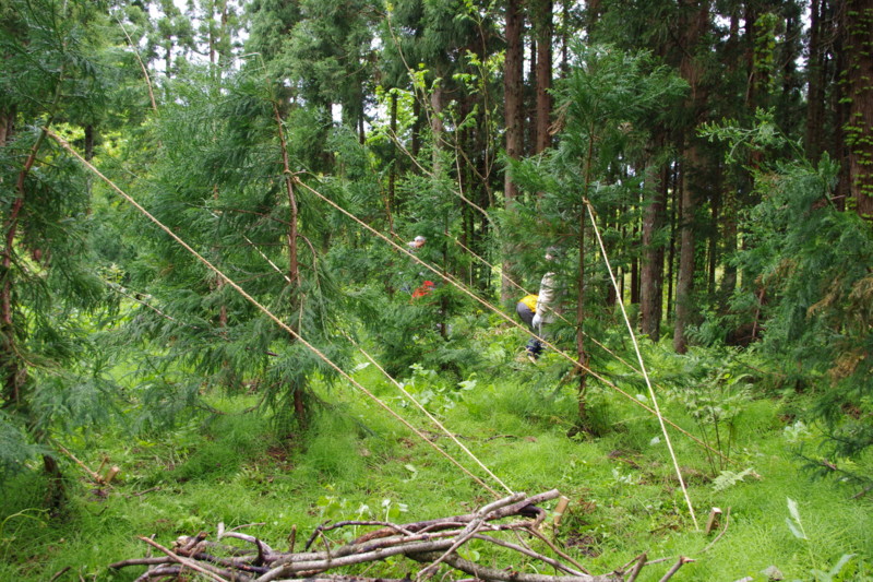 f:id:niigata-art226:20100513191003j:image